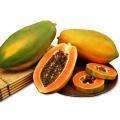 papaya_red-royale-1.jpg