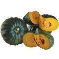 pumpkin_Engrande.jpg