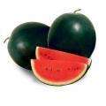 watermelon_sugar-baby-max.jpg